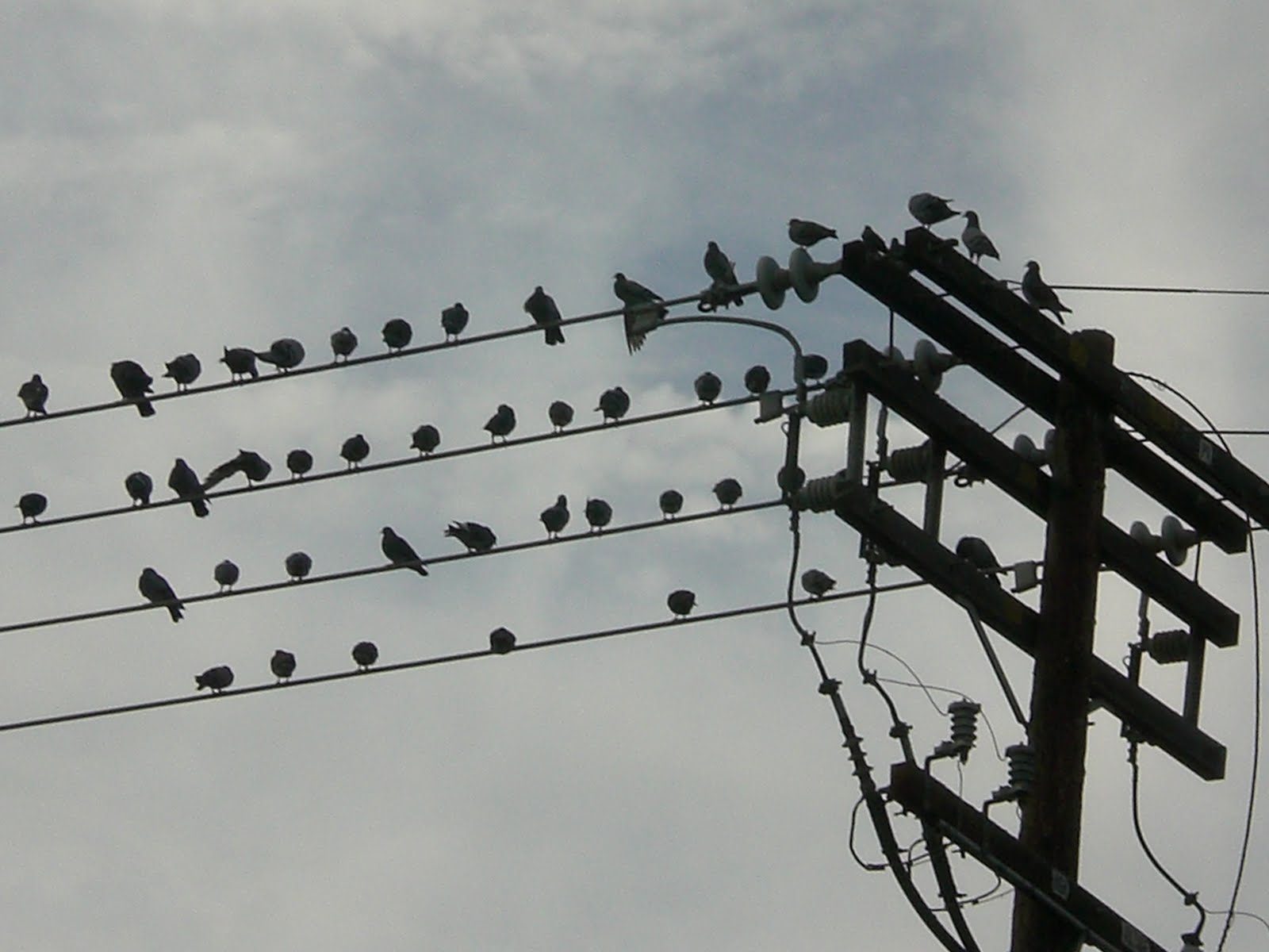 Picture of the Day September 2010