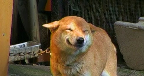 ekiblog-this-will-put-a-smile-on-your-face