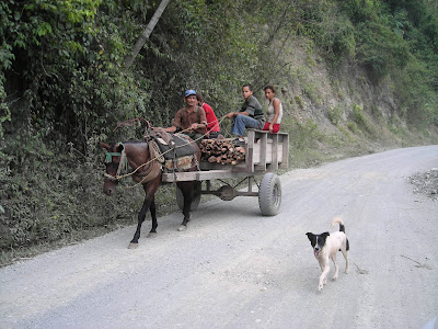 Horse and cart, Cangrejal river road, Honduras