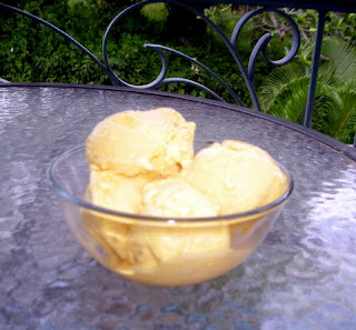 La Gringa's Mango Ice Cream