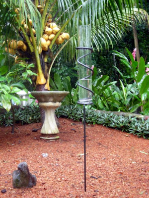 La Gringa's tropical-sized rain gauge, La Ceiba, Honduras