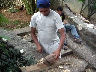 Opening coconut with machete, La Ceiba, Honduras