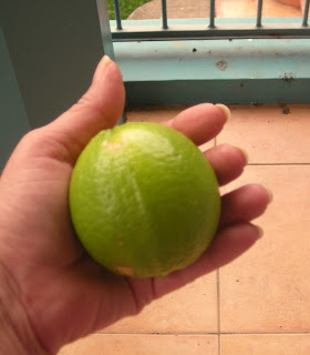 lemon, La Ceiba, Honduras