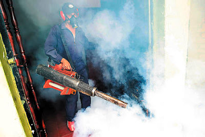 dengue fumigation Honduras