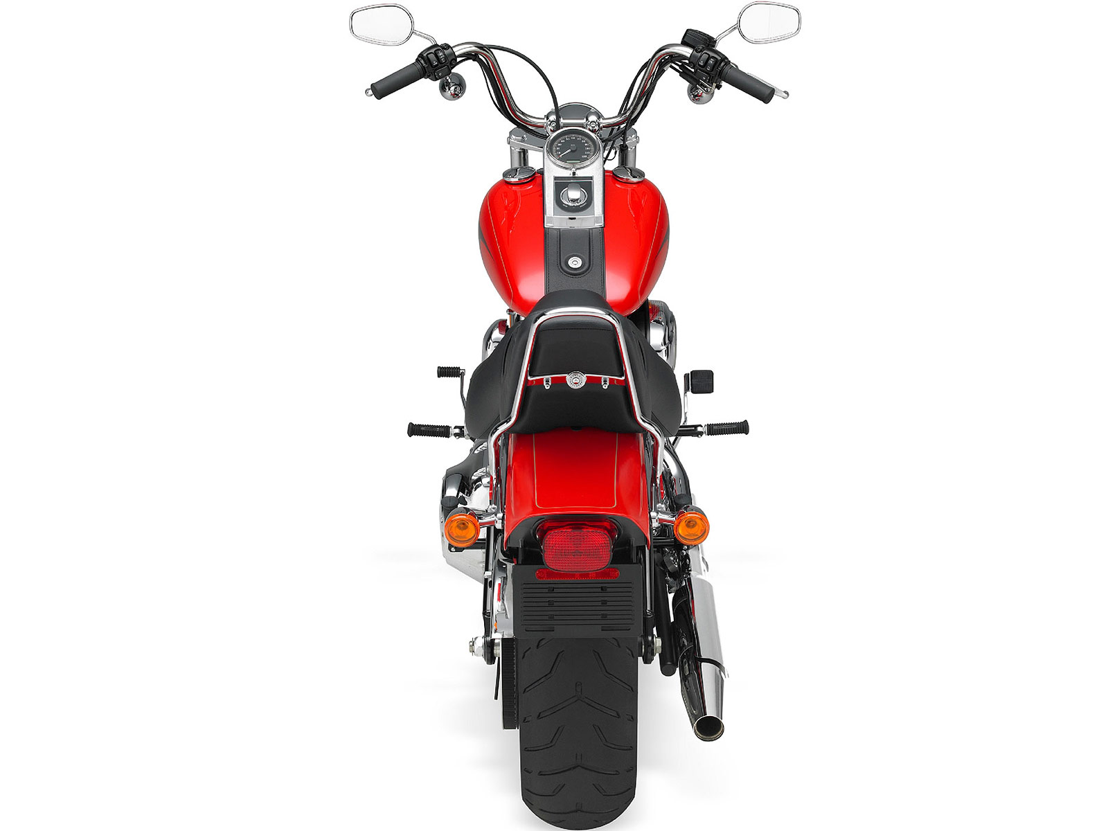 softail custom harley davidson