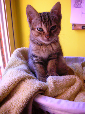 DSCN3252.JPG