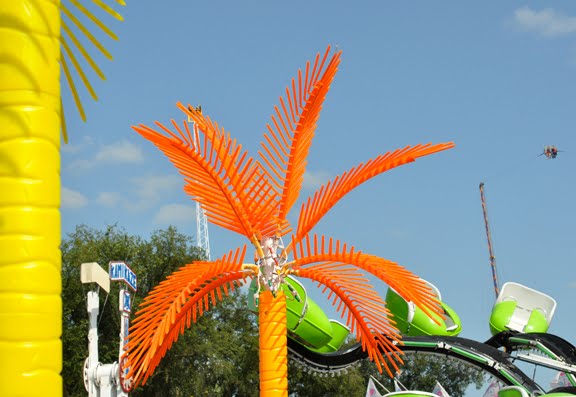 [kindra_palmtree.jpg]