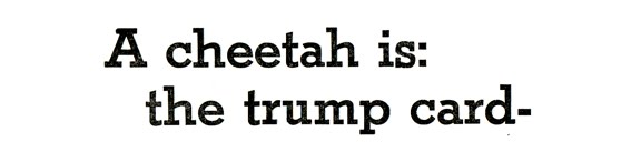 [cheetahletterpress.jpg]