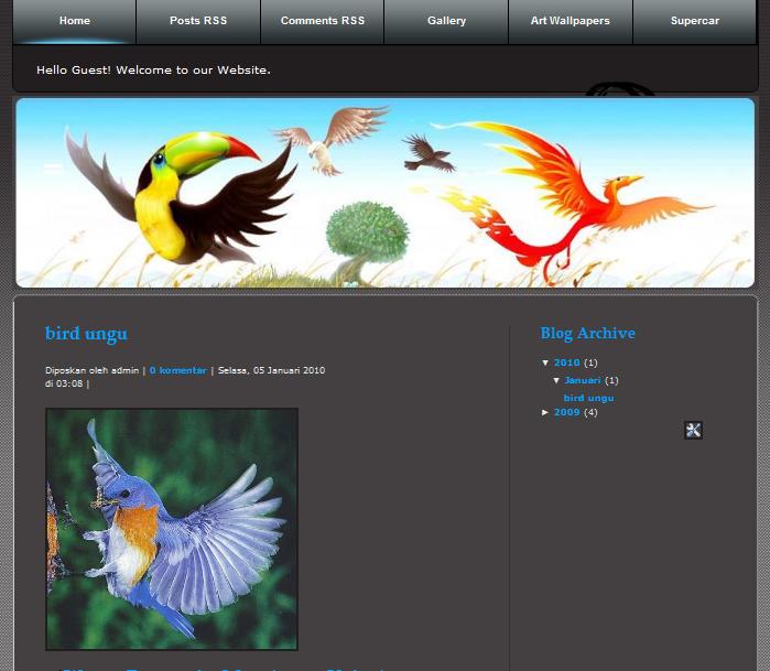 [bird-templates2.JPG]