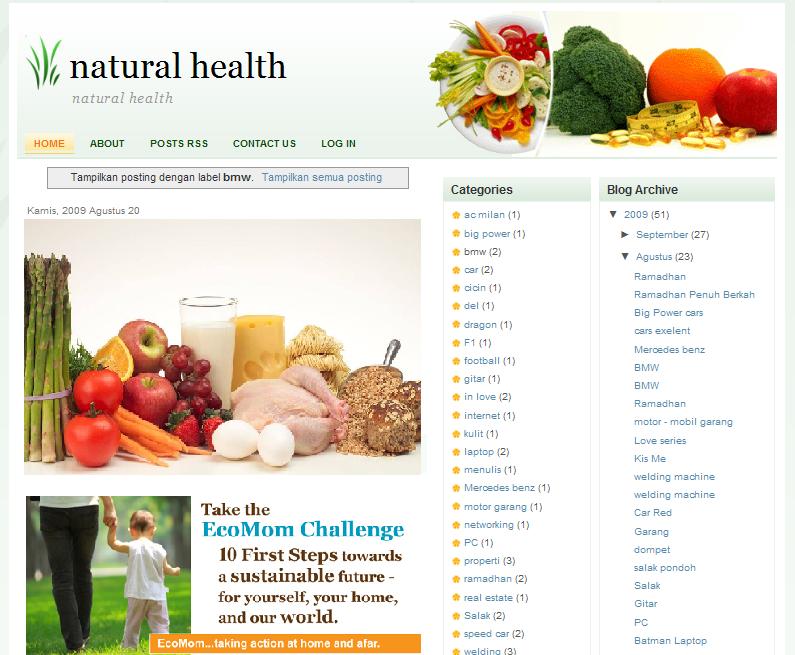 [healt-templates.JPG]