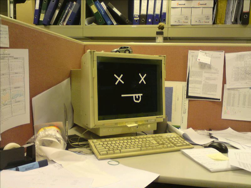 [image-upload-12-753231.jpg]