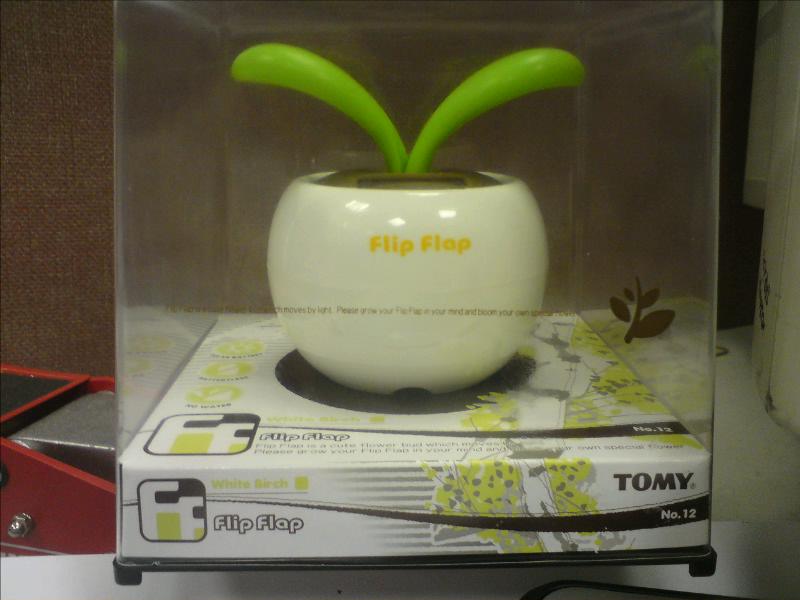 [image-upload-6-732678.jpg]