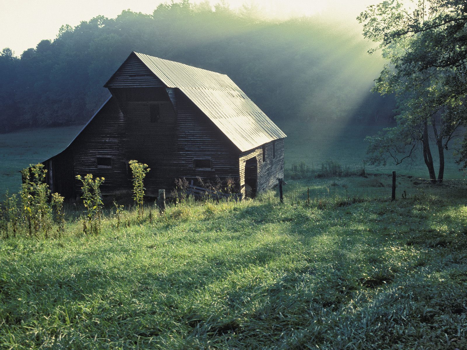 [Tipton+Place,+Cades+Cove,+Great+Smoky+Mountains+National+Park,+Tennessee.jpg]