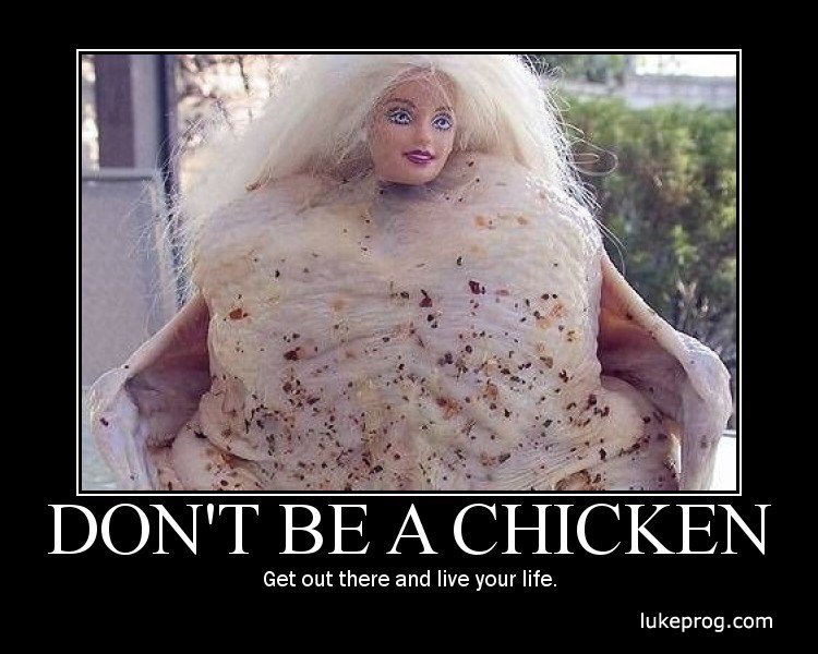 [23-Don't+Be+a+Chicken+(www.cute-pictures.blogspot.com).jpg]