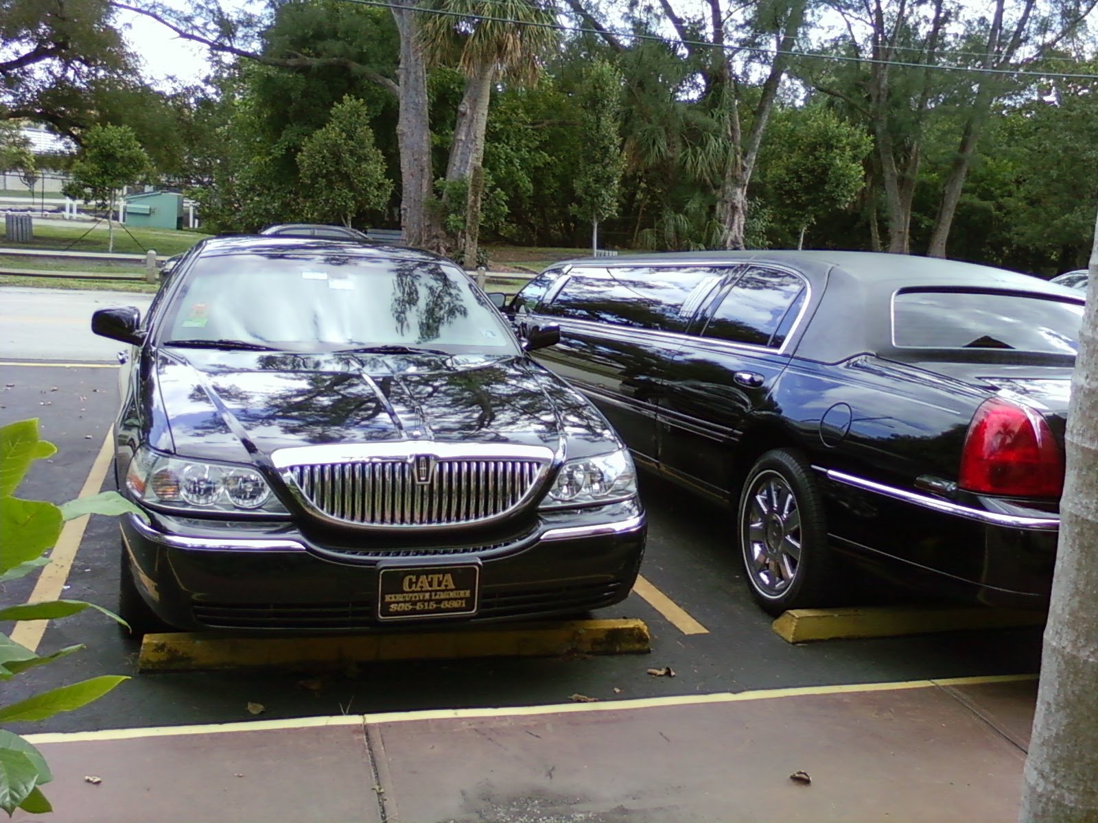 Limo service in Miami FL Limousine service in Miami Florida Limo service in Miami FL Limousine service in Miami Florida