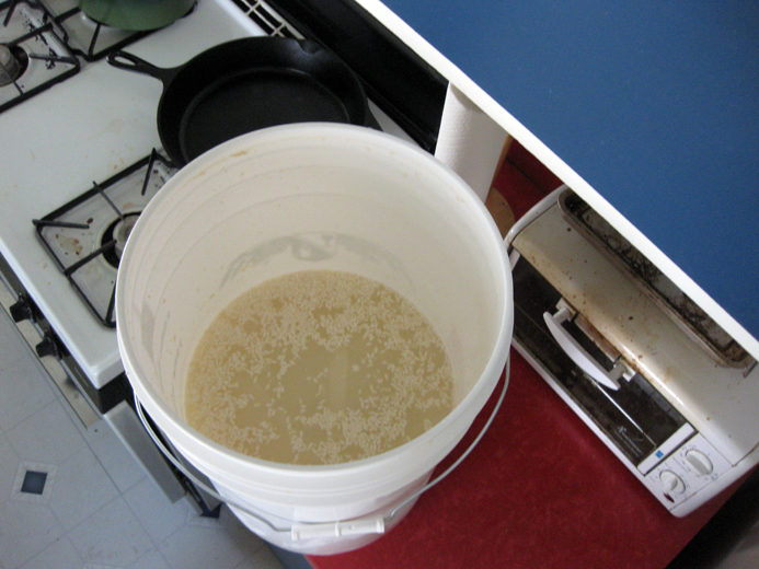 Sake Fermentation and Racking The Mad Fermentationist Homebrewing Blog