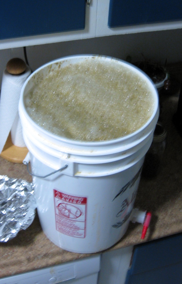 The Mad Fermentationist Homebrewing Blog Pliny The Younger Clone Recipe
