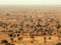 Sights of Africa