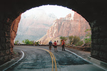 Zion Tunnel Walk