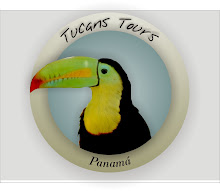 Logo tucans tours