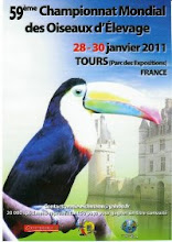 59ºCAMPEONATO MUNDIAL DE ORNITOLOGIA EM FRANÇA 2011 - TOURS