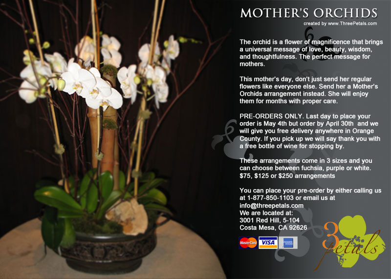 [3p-mothersday-orchid-email.jpg]