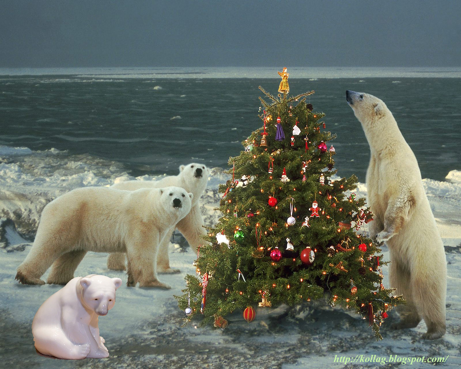 животные севера. новый год животные. как животные встречают новый год. новогодняя собака. как животные встречают новый год.