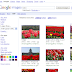 Search Options now on Google Images