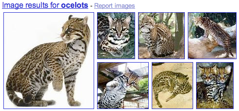 Google Image Search