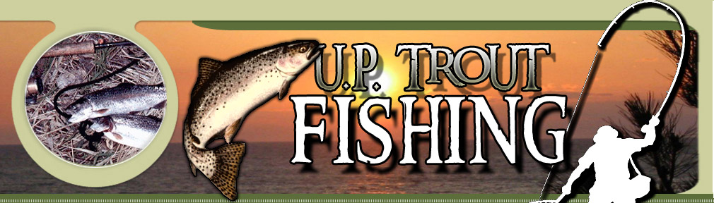 SALMON FISH: UP TROUT FISHING IN UPPER PENINSULAR MICHIGAN
