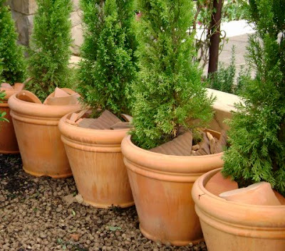 Inspired Living Spaces: Potted Gardens