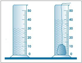 Measure and Compare Volume of Liquid