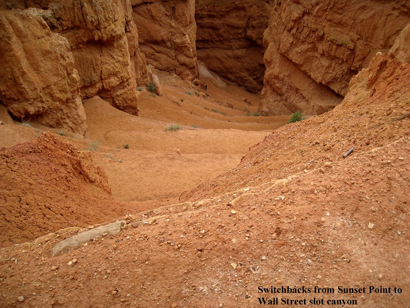 On the Kaibab Plateau