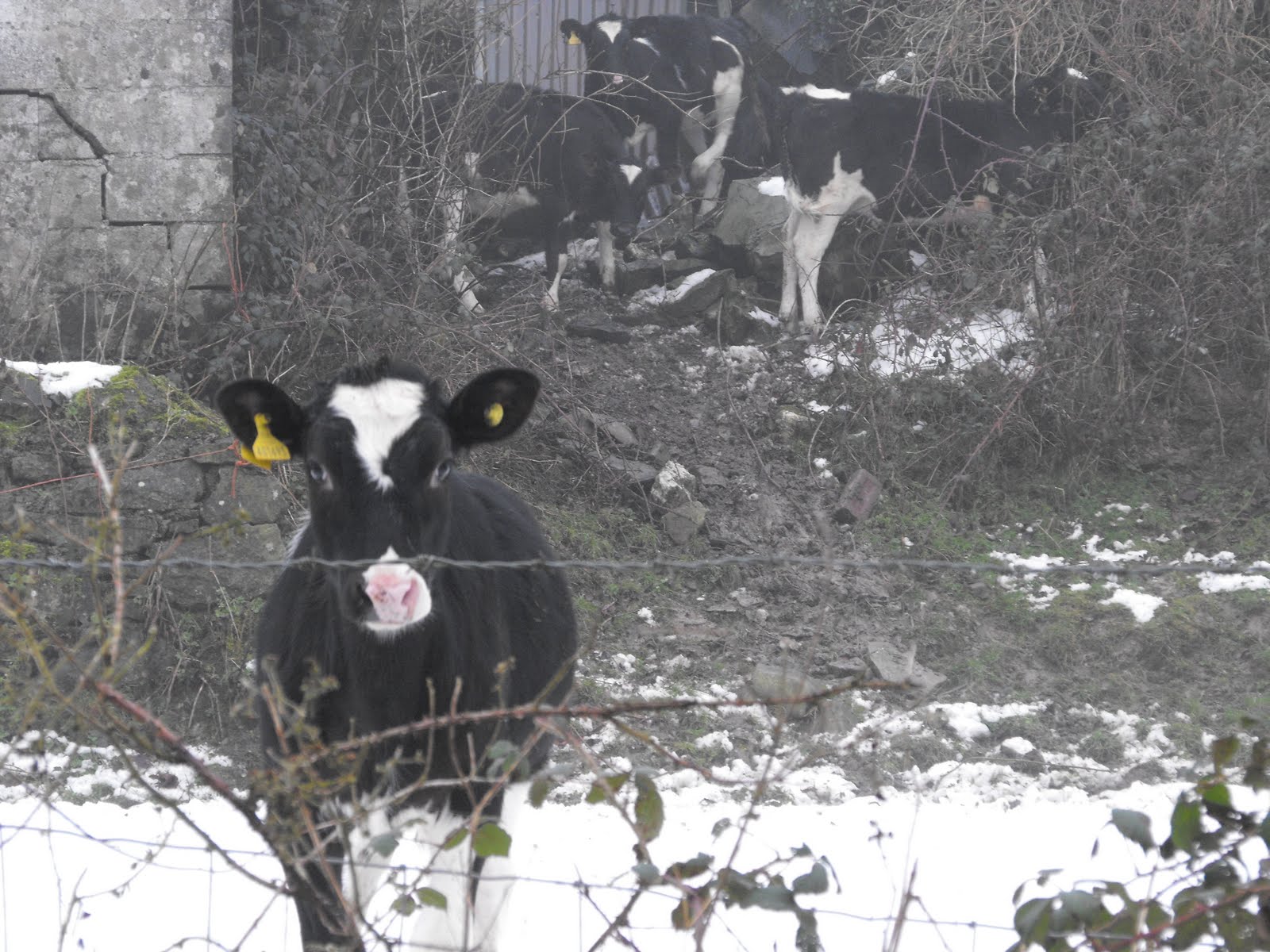[2010_01142009Septcarewcastle0019.JPG]