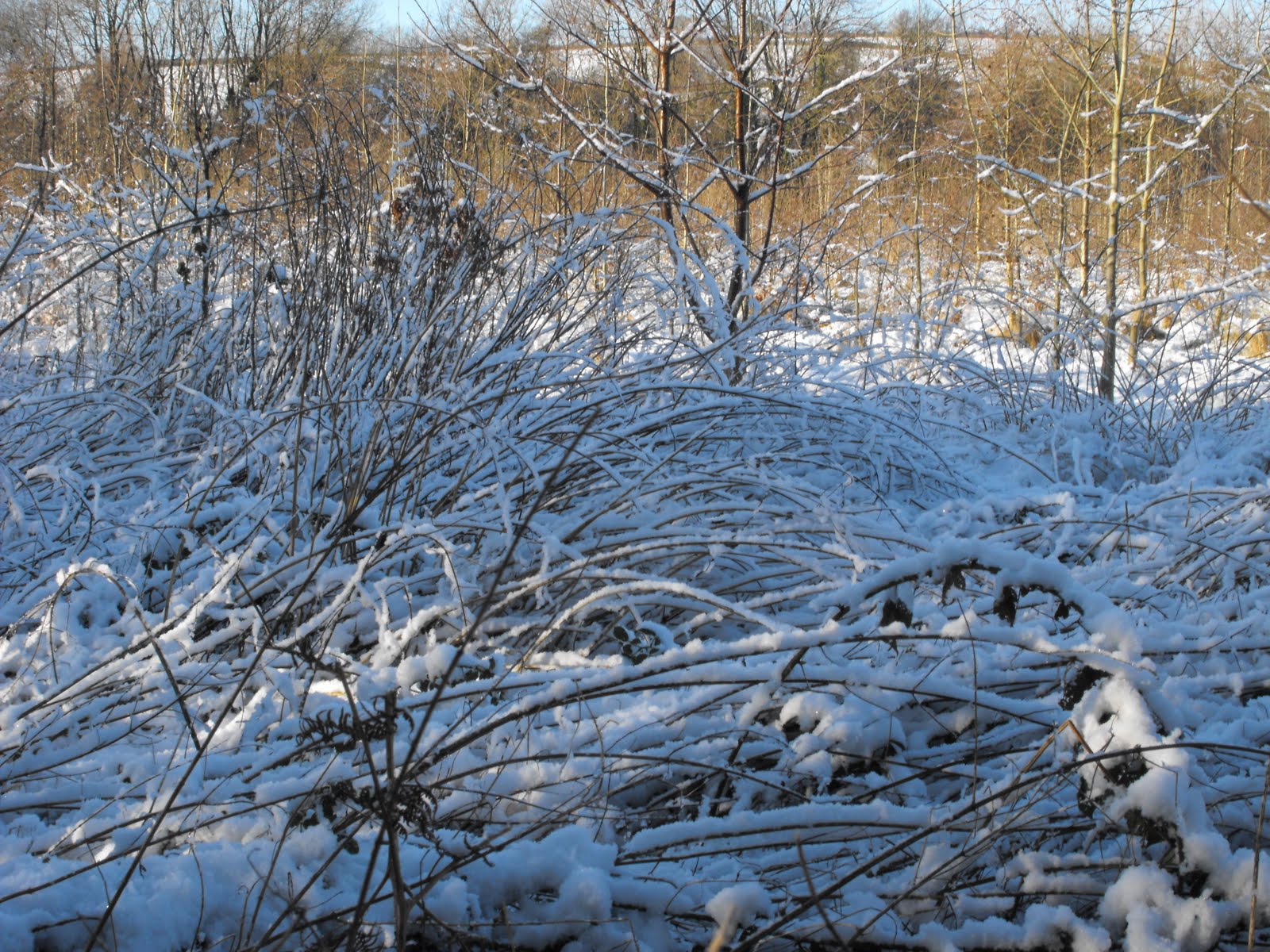 [2010_01032009Septcarewcastle0008.JPG]