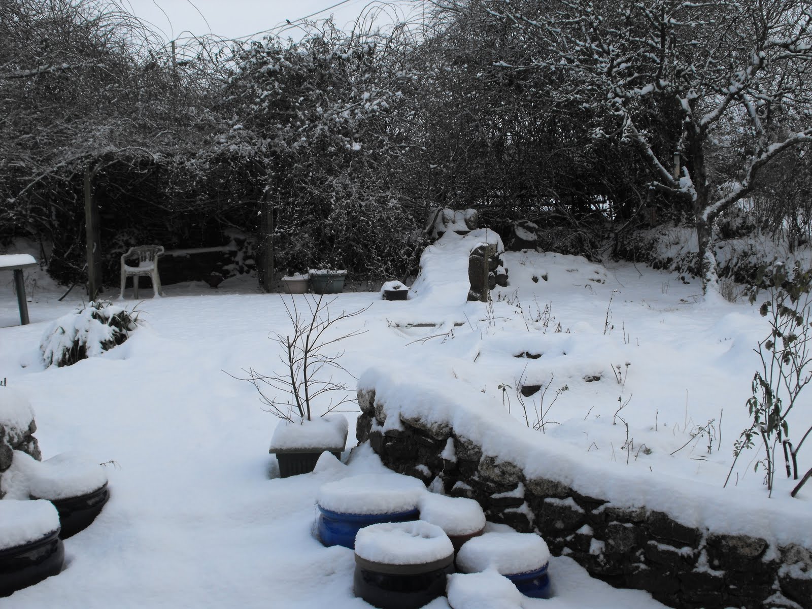 [2010_01042009Septcarewcastle0004.JPG]