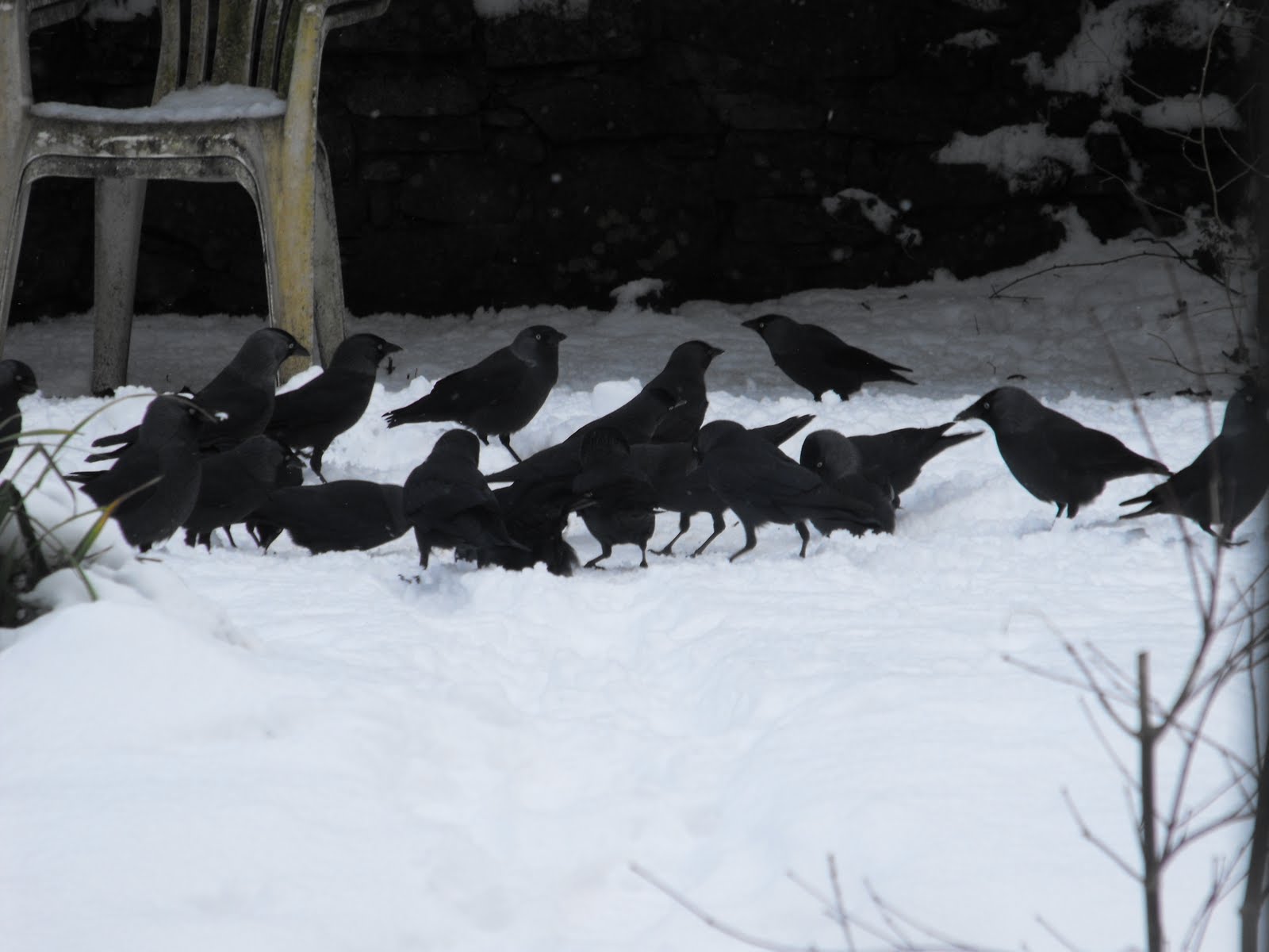 [2010_01062009Septcarewcastle0007.JPG]