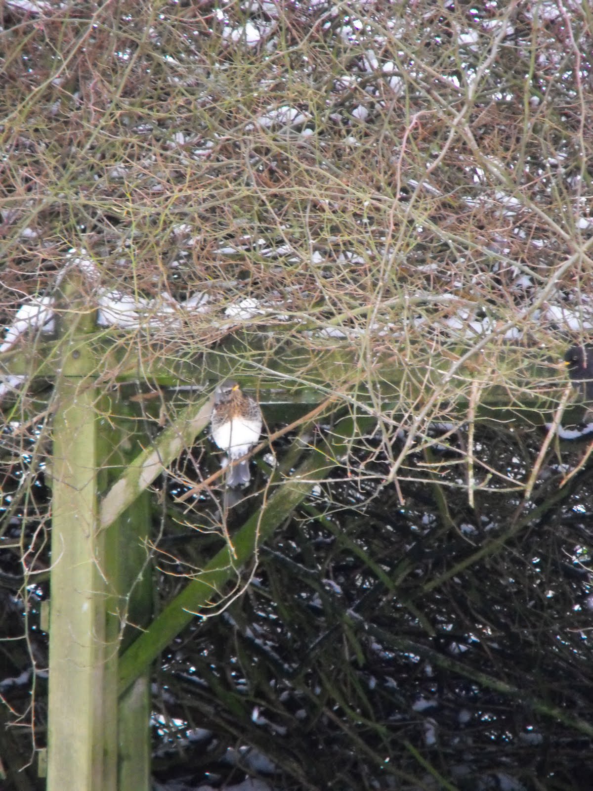 [2010_01062009Septcarewcastle0008.JPG]