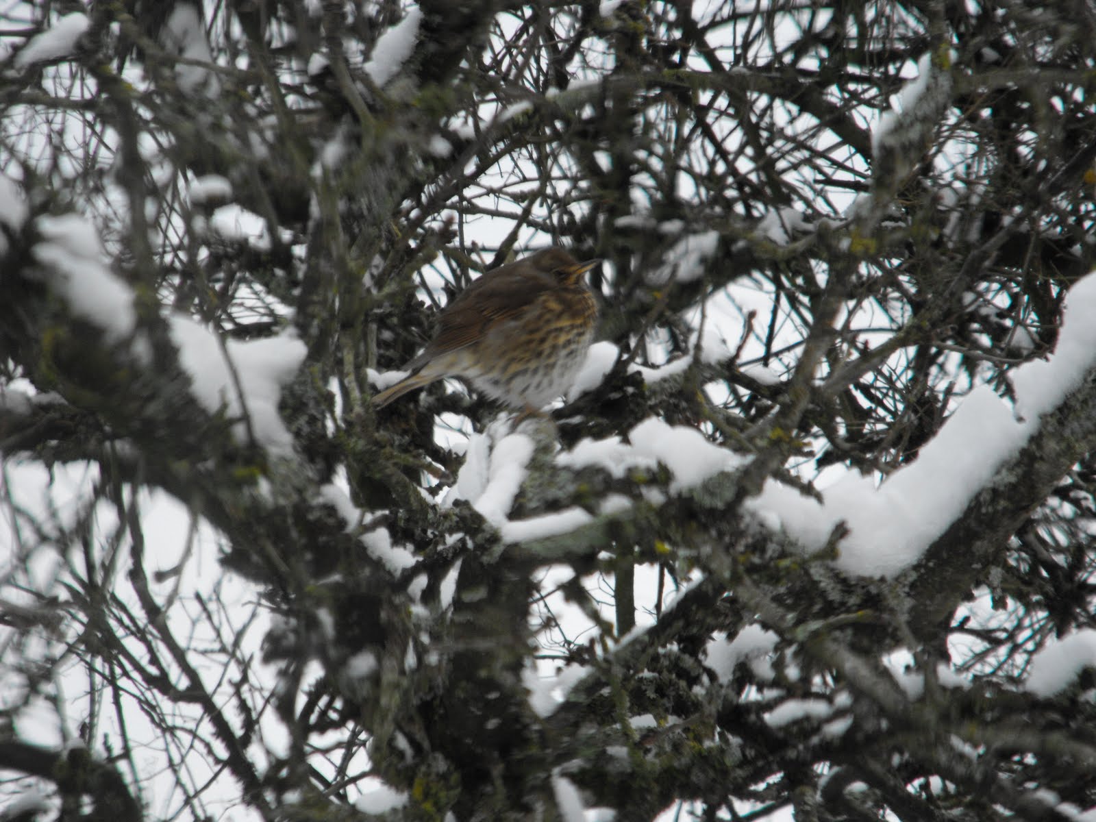 [2010_01062009Septcarewcastle0002.JPG]