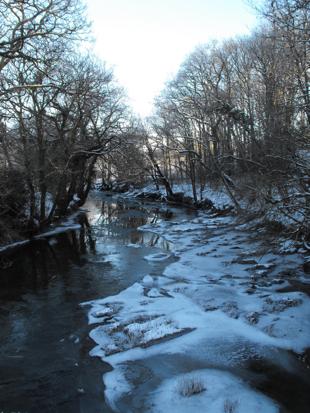 [2010_01082009Septcarewcastle0029.JPG]