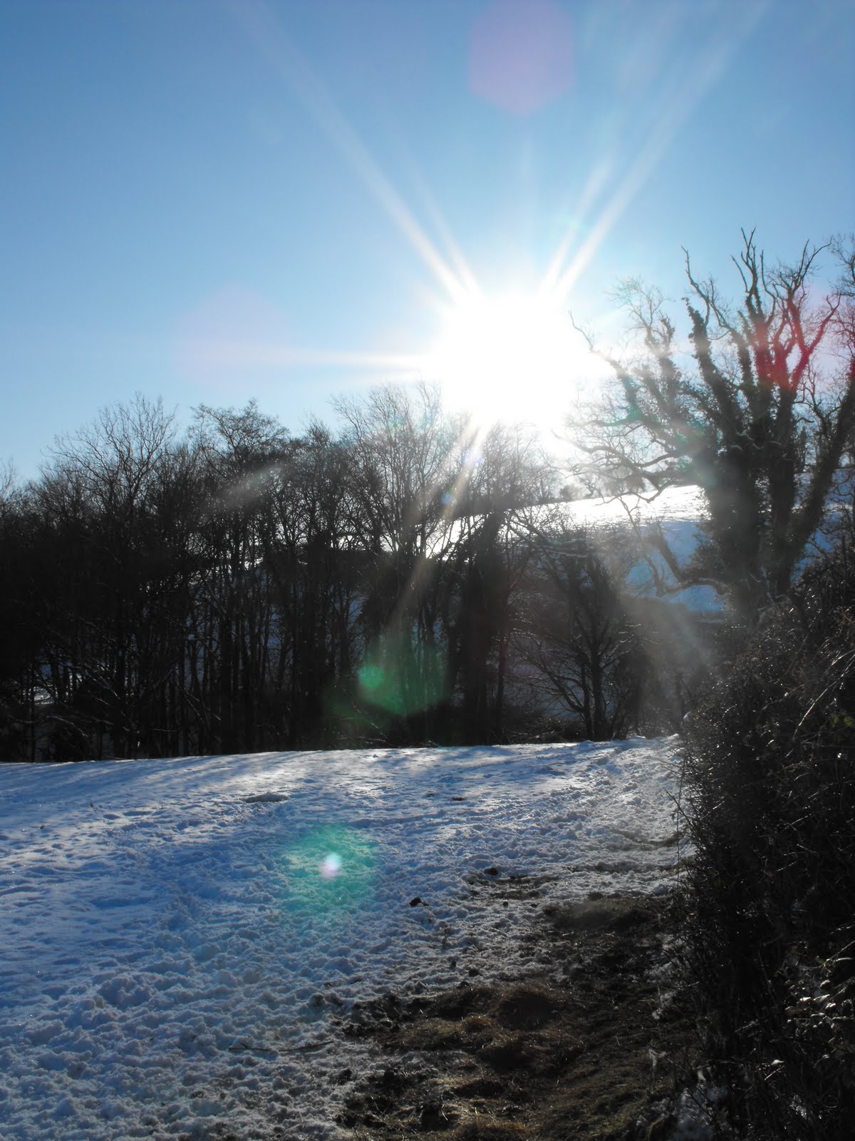 [2010_01082009Septcarewcastle0006.JPG]