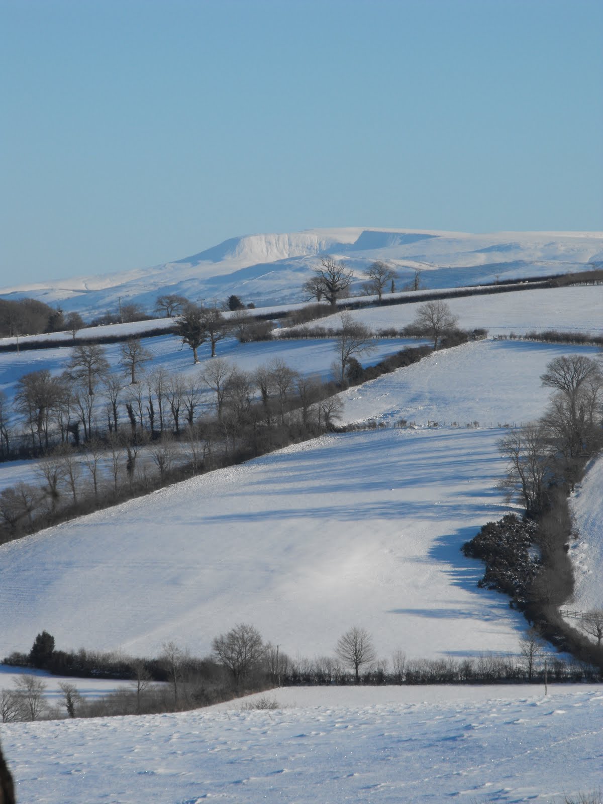 [2010_01082009Septcarewcastle0012.JPG]