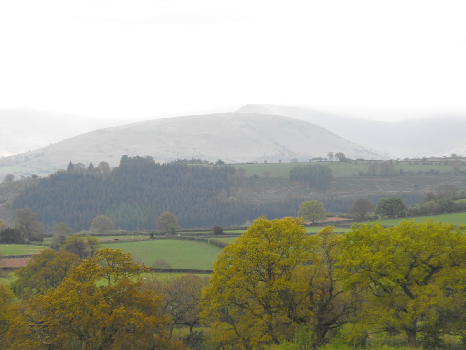 [2009_05045thJuly20070082.JPG]