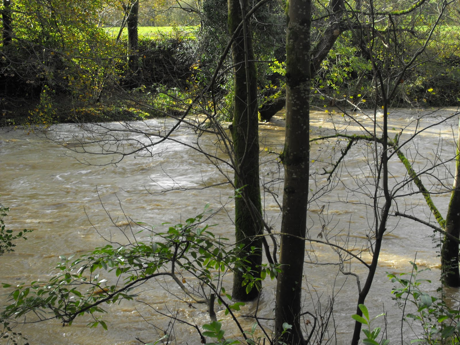 [2009_11012009Septcarewcastle0036.JPG]