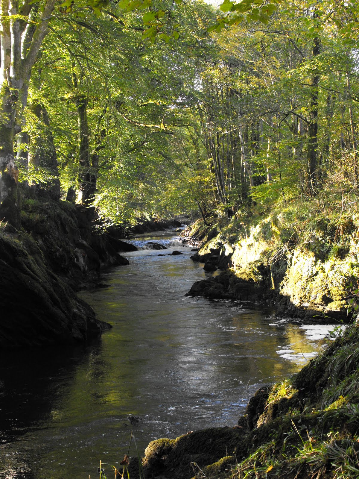 [2009_10082009Septcarewcastle0028.JPG]