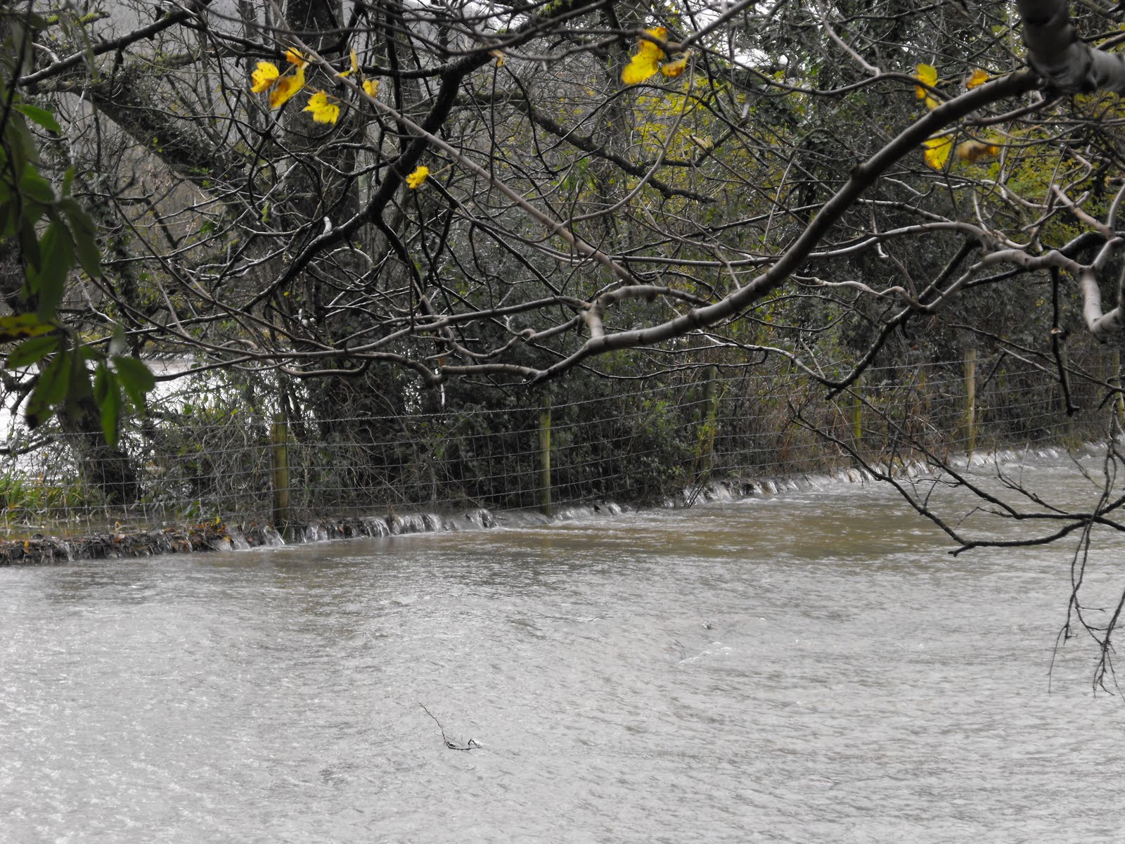 [2009_11142009Septcarewcastle0042.JPG]