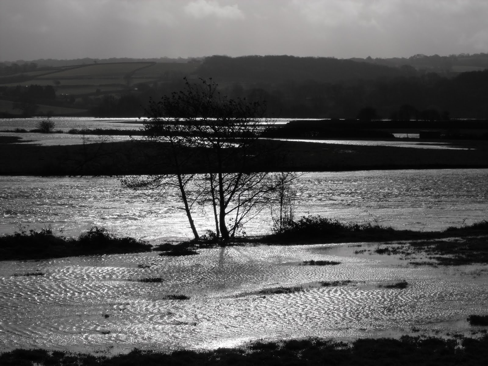 [2009_11142009Septcarewcastle0036.JPG]