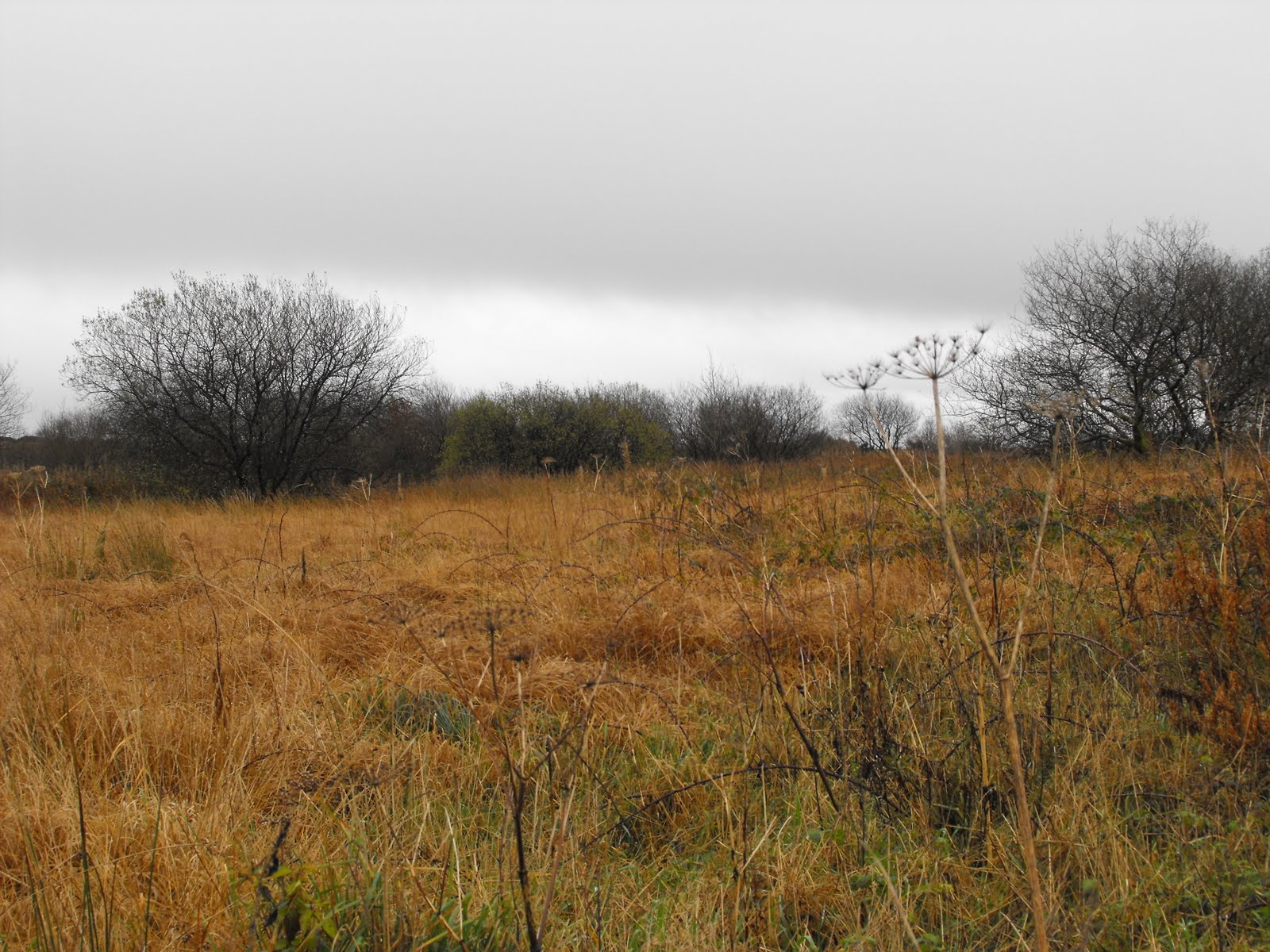 [2009_11132009Septcarewcastle0011.JPG]