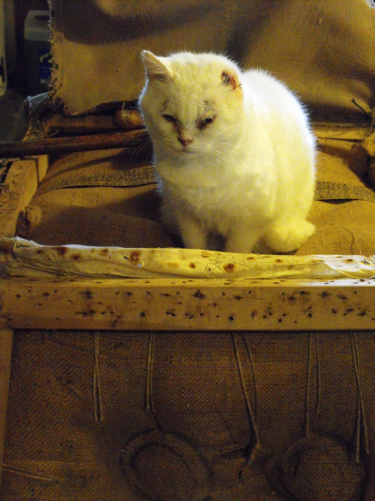 [2009_11042009Septcarewcastle0012.JPG]