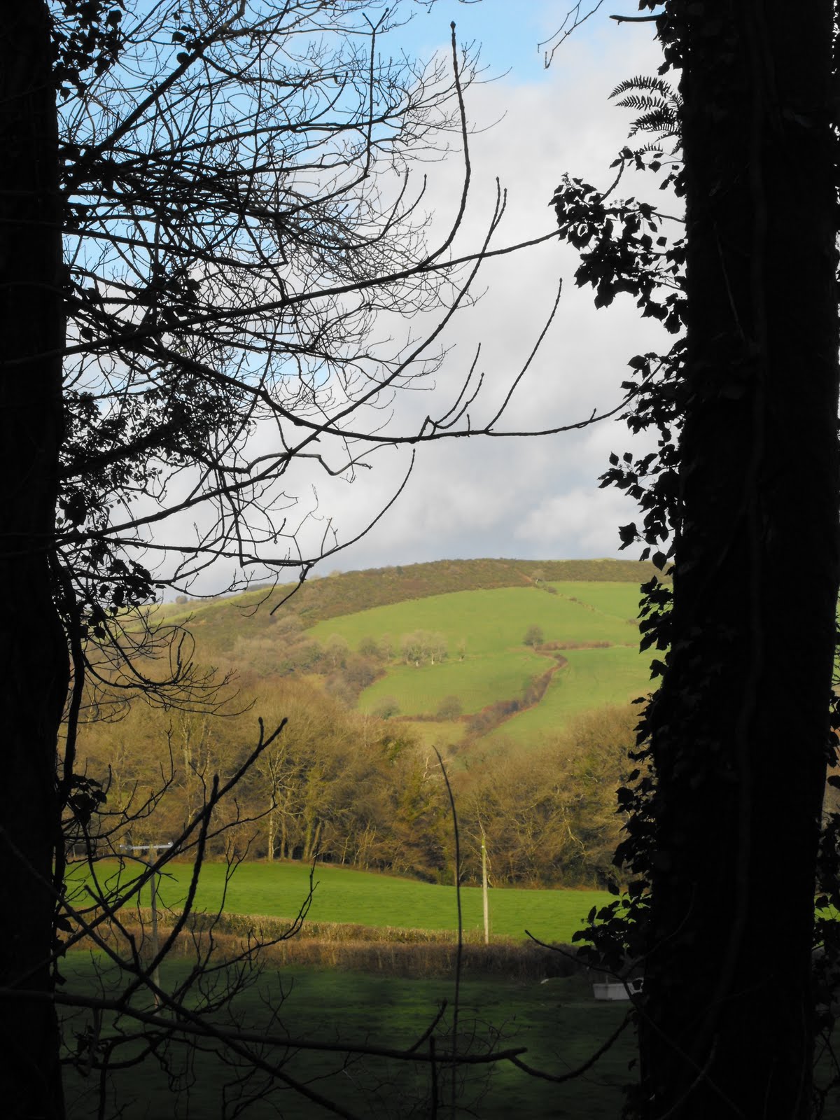 [2009_12032009Septcarewcastle0018.JPG]
